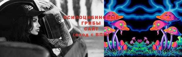 круглые Абаза