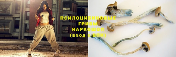 соль курить ск Медвежьегорск